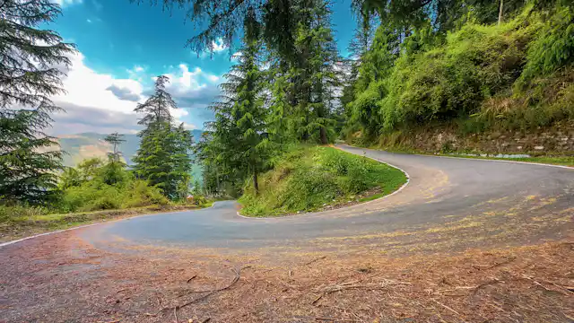 Winding mountain road through a pine forest in the Himalayas